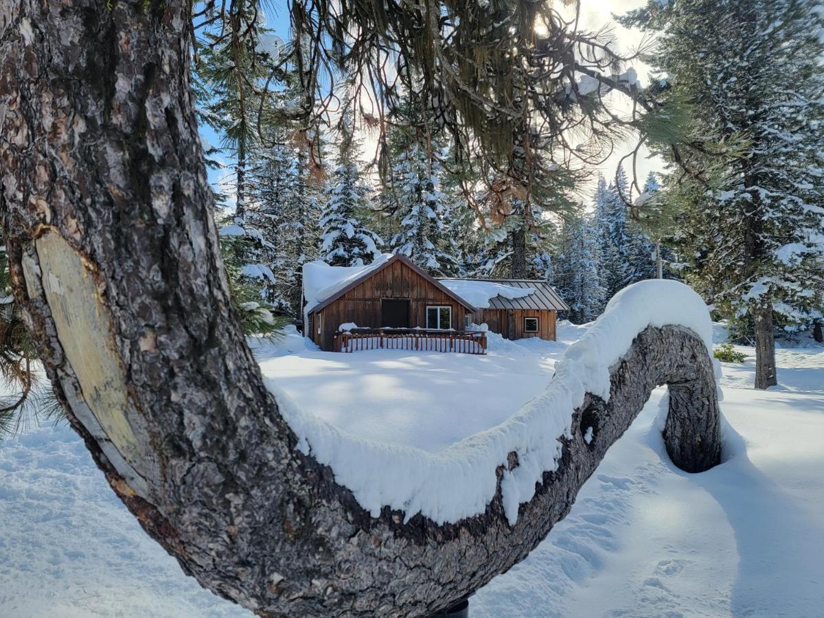 Cooper Spur Mountain Resort Mount Hood Exteriér fotografie